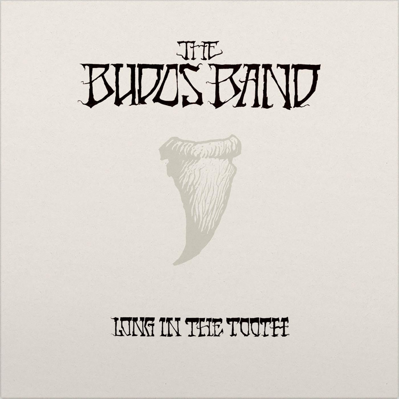 Budos Band- Long In The Tooth