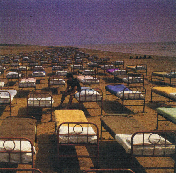 Pink Floyd- A Momentary Lapse Of Reason
