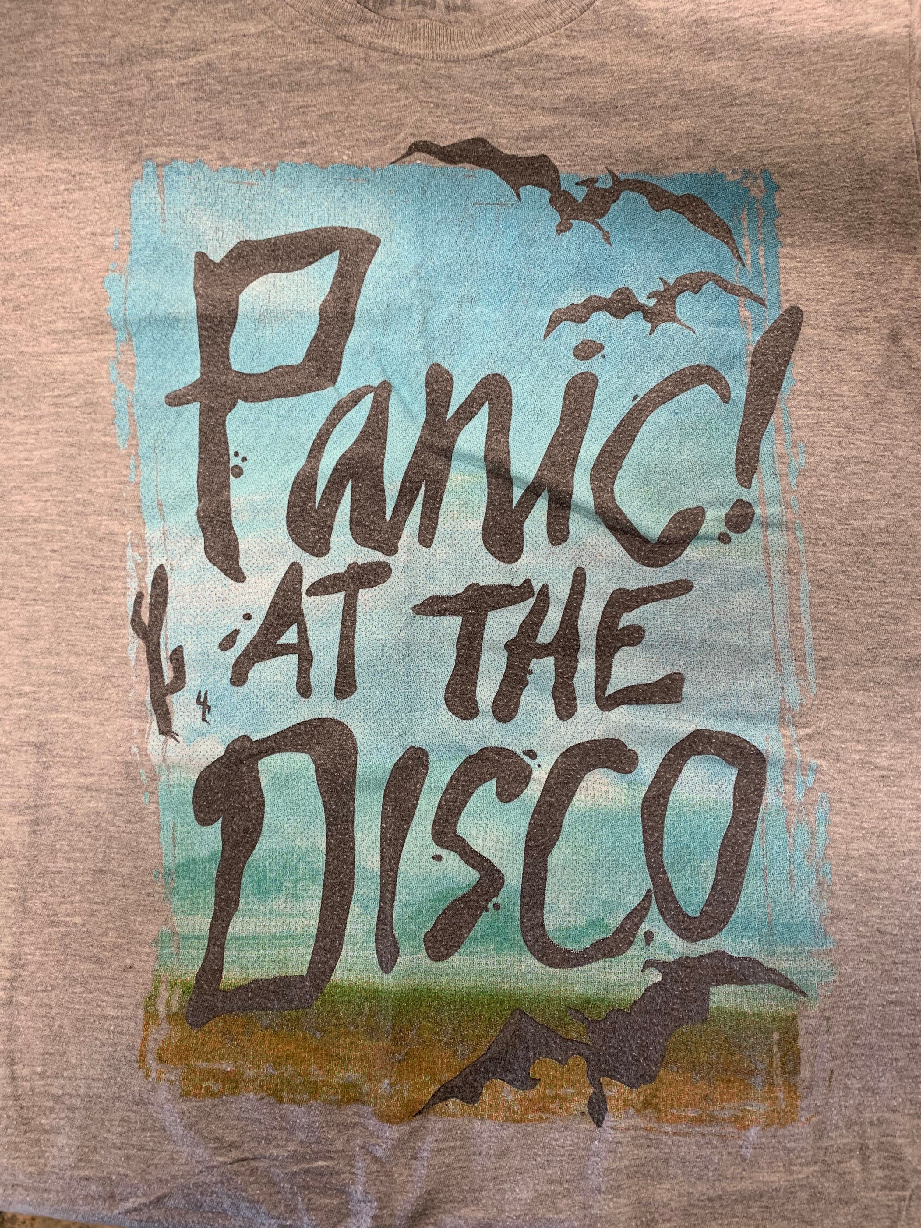 Panic At The Disco Landscape T-Shirt, Gray, M