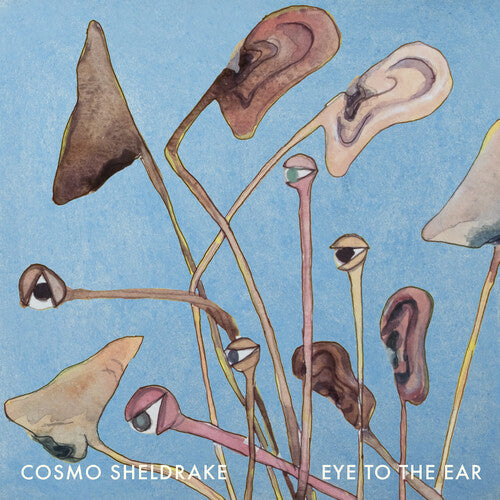Cosmo Sheldrake- Eye to the Ear