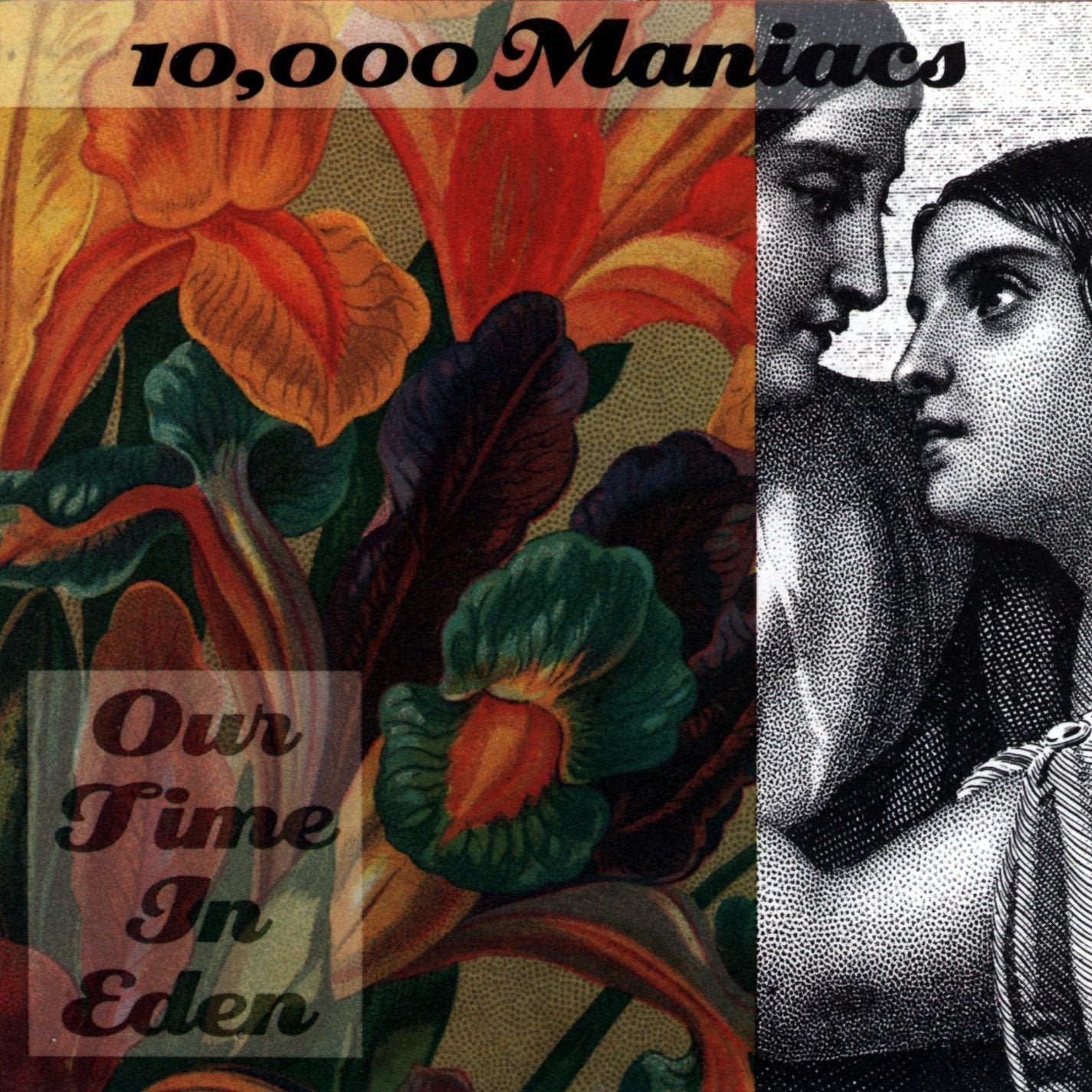 10,000 Maniacs- Our Time In Eden - DarksideRecords