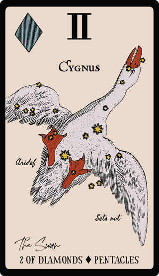 Starlore Arcana: 56 Cards & 128-Pg Book (Astrology Deck)