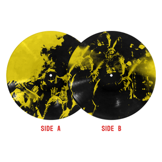 Twenty One Pilots- Breach (Exalt Pic Disc)