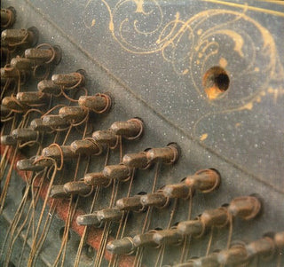 the album cover for Do Make Say Think - You You're a History in Rust