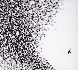 the album cover for Wilco - Sky Blue Sky