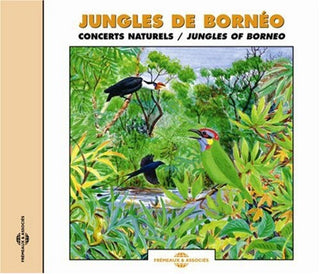 the album cover for Various Artists - Jungles of Borneo