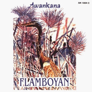 the album cover for Awankana - Flamboyan-River of the Stars