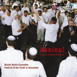 the album cover for Moshe Berlin Ensemble - Aneinu! Hasidic-Orthodox Music From The Festival Of The Torah In Jerusalem