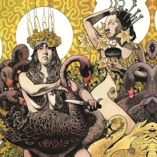 the album cover for Baroness - Yellow and Green