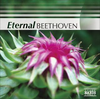 the album cover for Eternal Beethoven / Various - Eternal Beethoven / Various
