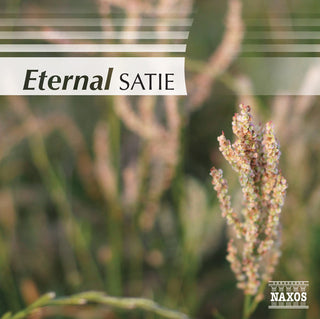 the album cover for Eternal Satie / Various - Eternal Satie / Various