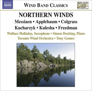 the album cover for Tony Gomes - Northern Winds