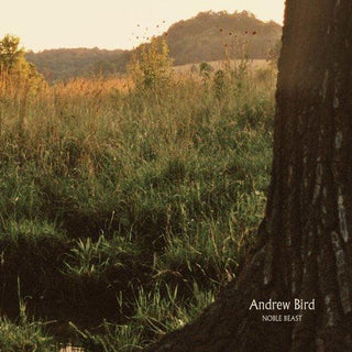 Andrew Bird- Noble Beast