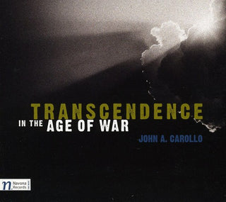 the album cover for Vit Micka - Transcendence in the Age of War