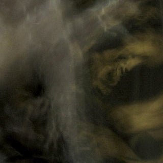 the album cover for Pixyblink & Rhea Tucanae - Fungi from