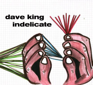 the album cover for Dave King - Indelicate
