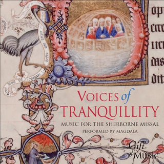 the album cover for David Skinner - Voices of Tranquillity