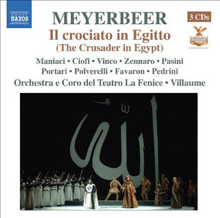 the album cover for Emmanuel Villaume - Crusader in Egypt