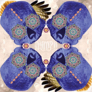 the album cover for Nymph - Nymph