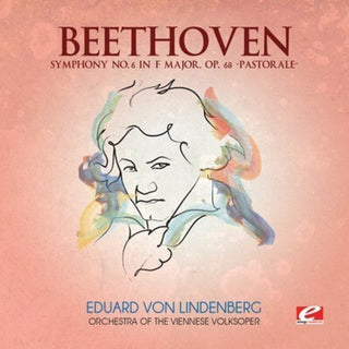 the album cover for Orchestra Of The Viennese Volksoper - Symphony 6 in F Major