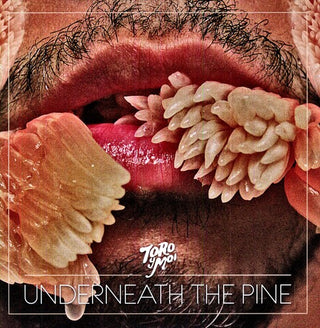 Toro y Moi- Underneath the Pine