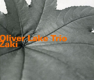 the album cover for Oliver Lake - Zaki [Import]