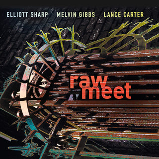 the album cover for Elliott Sharp - Raw Meet [Import]