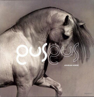 Gus Gus- Arabian Horse