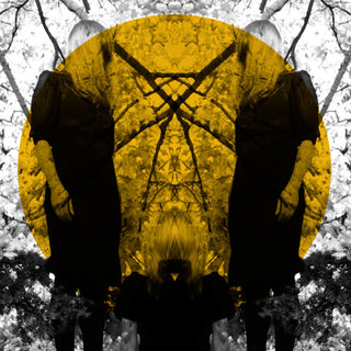 the album cover for Austra - Feel It Break