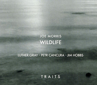 the album cover for Joe Morris /Wildlife - Traits