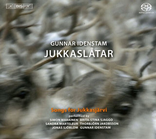 the album cover for Indestam / Marainen / Sjaggo / Marteleur / Sjoblom - Jukkaslatar [Import]
