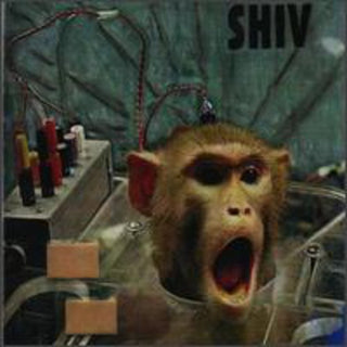 the album cover for Shiv - Flayed & Ashamed