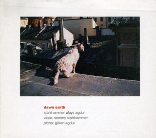 the album cover for Semmy Stahlhammer - Dawn Earth