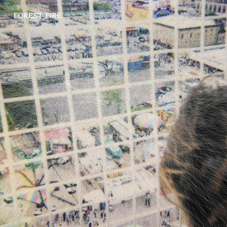 Forest Fire- Staring at the X