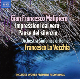 the album cover for G. MARTUCCI - Impressioni Dal Vero / Pause Dal Silenzio