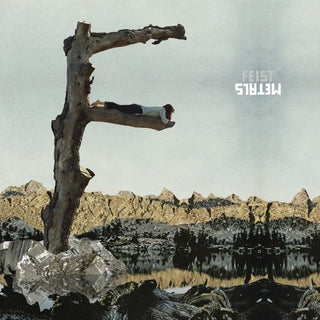 the album cover for Feist - Metals