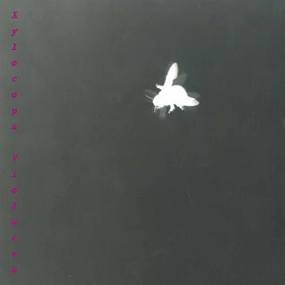 the album cover for Barbara Maurer - Xylocopa Violacea