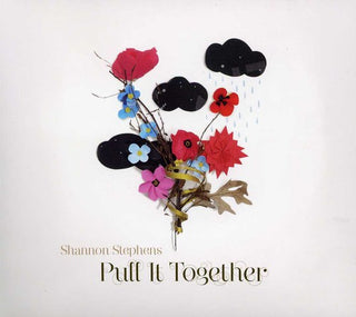 the album cover for Shannon Stephens - Put It Together
