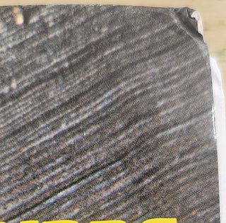 The Monkees- The Monkees (2021 Yellow Reissue)(Corner Dings)