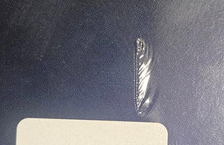 Guns N' Roses- Perhaps (Sealed w/ Small Tear In Shrinkwrap On Back)