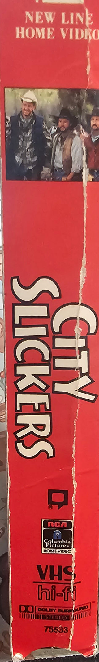 City Slickers (Box Wear)