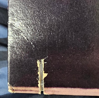 Frank Sinatra- She Shot Me Down (Saw Cut)