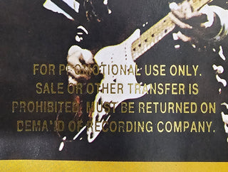 Ronnie Wood- Now Look (Promo Stamped)