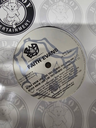 Faith Evans- Never Know Love Like This (12")