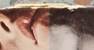 Shoes- Present Tense (Spine Seam Split)