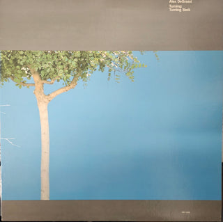 Alex DeGrassi- Turning: Turning Back (Used Vinyl)