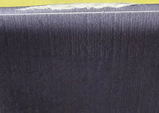 Pinegrove- Cardinal (Top Seam Split) (Used Vinyl)