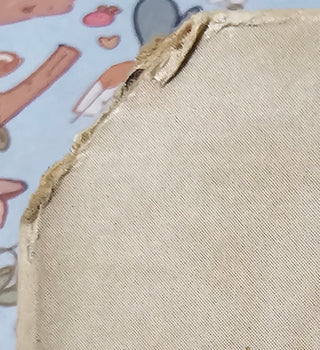 Fanny- Fanny (1st Pressing, Surface Wear Side 1)(Top Let Corner Cut)