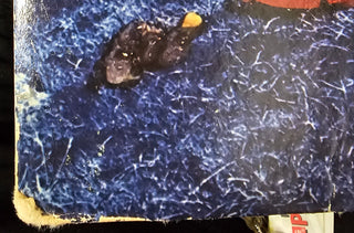 Yes- Tormato (Sleeve Wear)