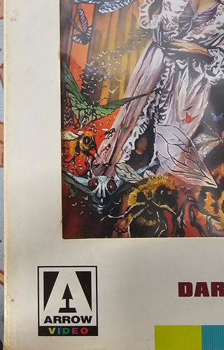Phenomena (Arrow Video w/ Slipbox, Staining To Slipbox)